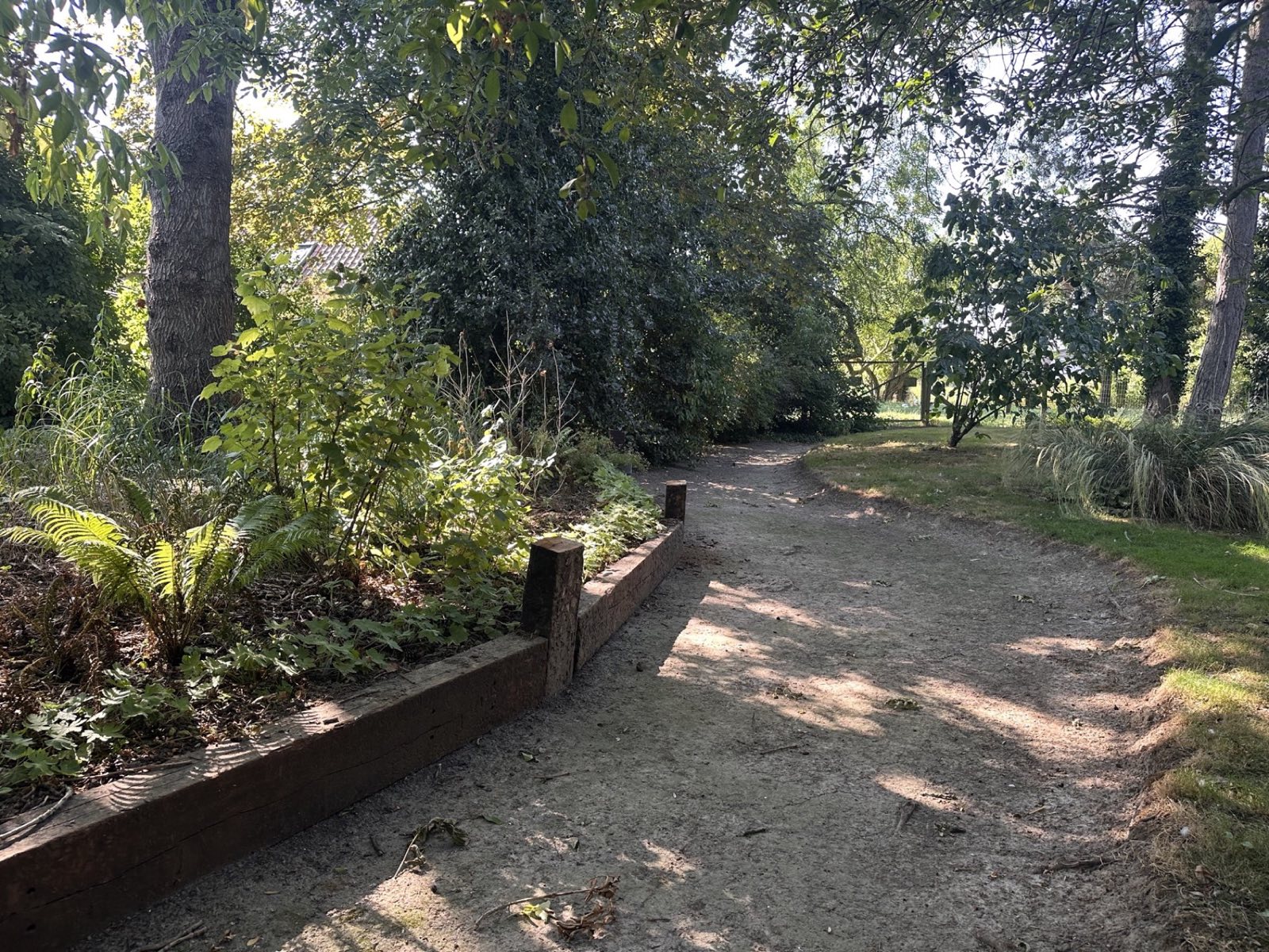Une allée de terre bordée de fougères et de traverses de bois, sous les grands arbres du jardin
