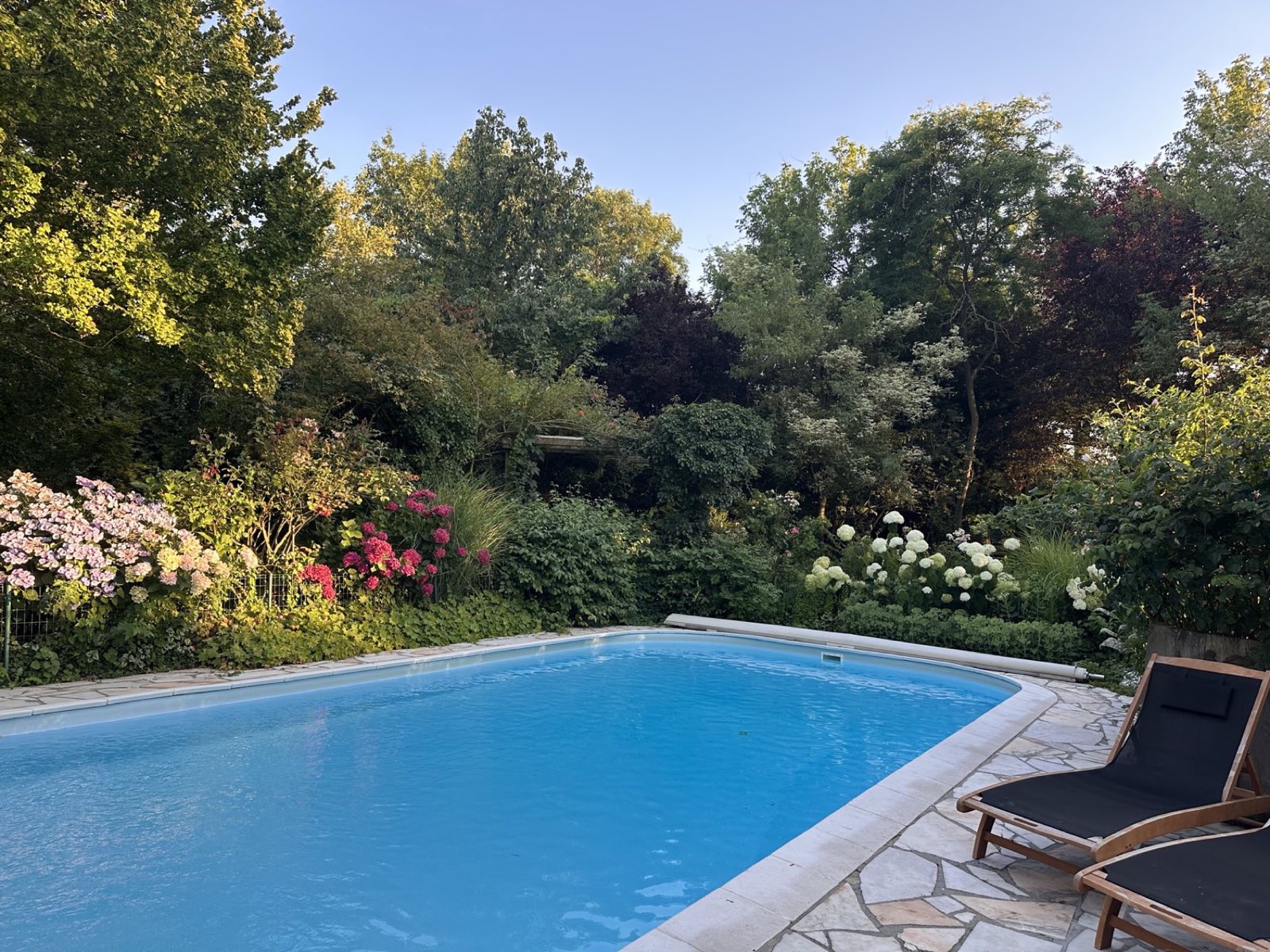 La piscine de La Roseraie, bordée d'hortensias roses et blancs et de graminées