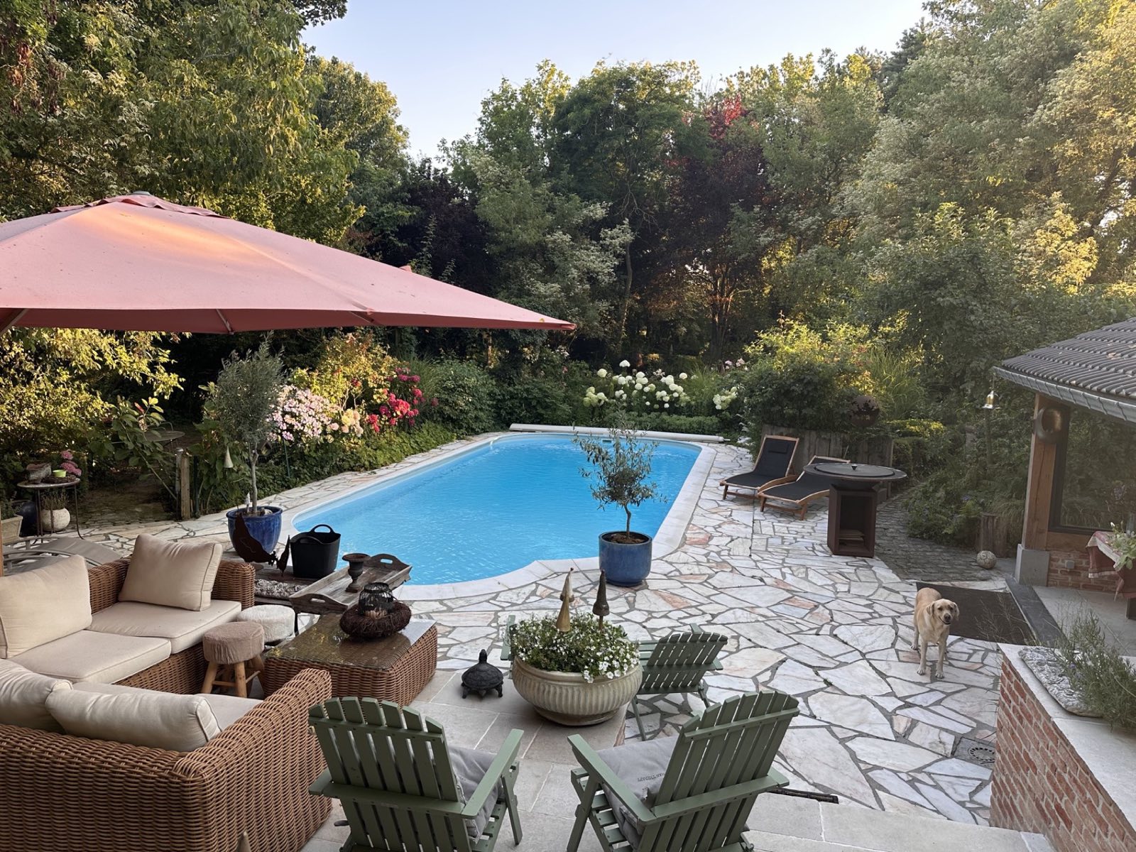 La terrasse et la piscine de La Roseraie un soir d'été : le salon sous le grand parasol, les transats, la cuisine d'été, et Bambou la labrador au milieu des dalles